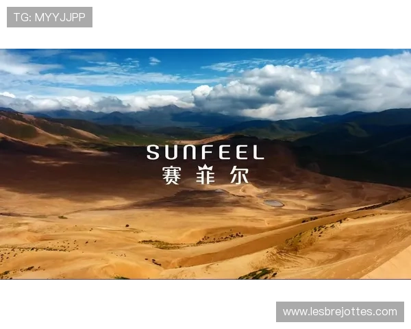 揭秘J9九游体育背后的成功运营模式与市场策略