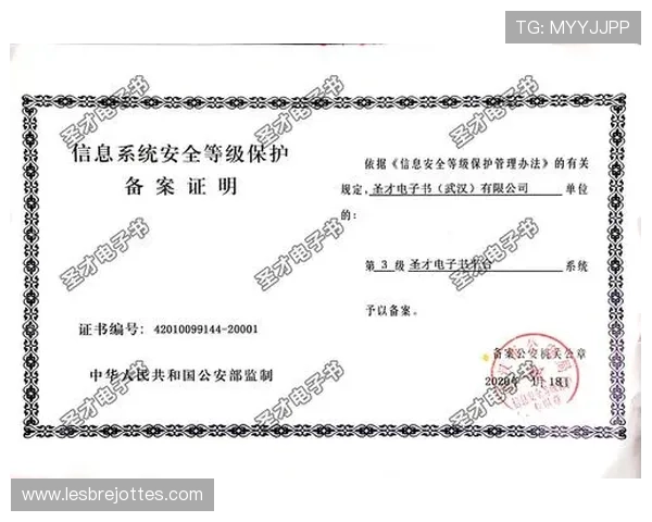 SA视讯APP安全登录与账号保护措施确保用户信息安全与资金安全